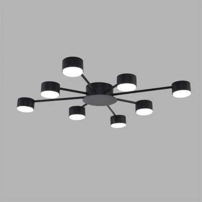 Накладная люстра LUMION 8344/8C