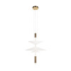 Подвесной светильник LOFT IT 10244/B Brass