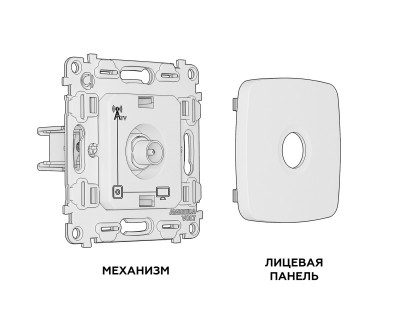 Розетка Ambrella Volt MO213010