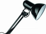 Настольная лампа офисная Arte Lamp Junior A1330LT-1BK