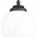 Подвесной светильник Fumagalli Globe 250 G25.120.000.AYE27