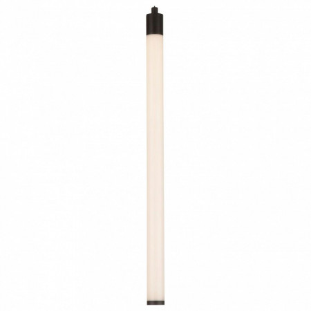 Подвесной светильник Maytoni Ray P021PL-L10B