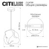 Подвесной светильник Citilux CL247081