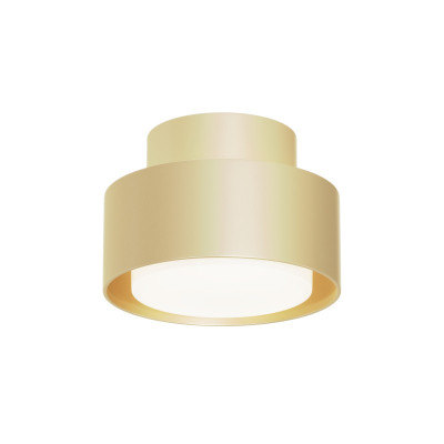 Накладной светильник Maytoni Technical C092CL-GX53-MG