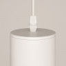 Подвесной светильник Maytoni Technical P075PL-01W
