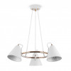 Подвесная люстра Freya FR8001PL-03WG