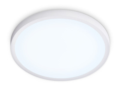 Накладной светильник Ambrella Light FZ1951