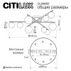 Накладная люстра Citilux CL209293