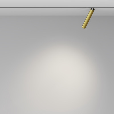 Светильник на шине Maytoni Technical TR141-2-6W4K-M-BS