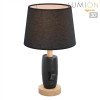 Настольная лампа LUMION 8209/1T