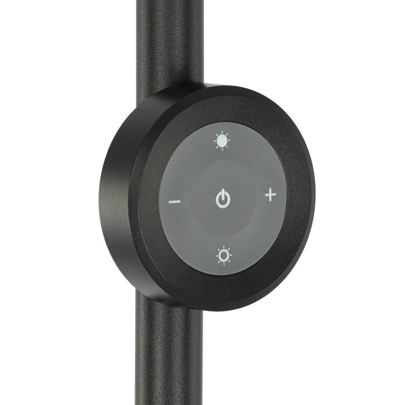 Торшер Citilux CL810031
