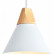 Подвесной светильник Ambrella TR TR8195