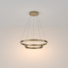 Подвесная люстра Maytoni MOD058PL-L55BSK