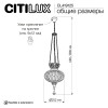 Подвесной светильник Citilux CL419125