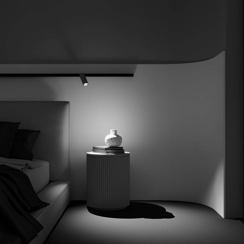 Светильник на шине Maytoni Technical TR032-2-12W2.7K-M-B