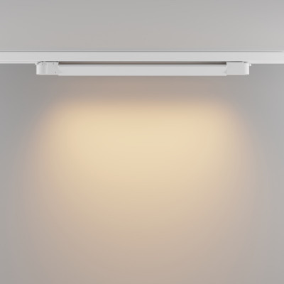 Светильник на шине Maytoni Technical TR196-3-20W2.7K-W