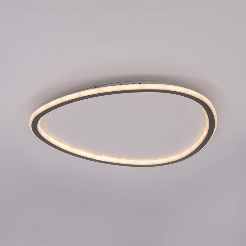 Накладной светильник Citilux CL215B251E